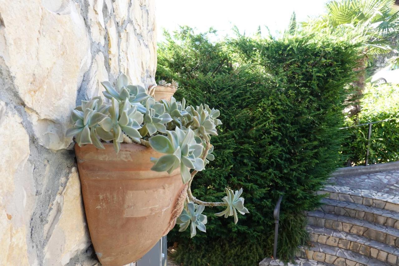 Flora *